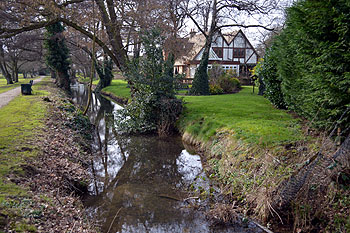 Potton Brook looking south February 2013